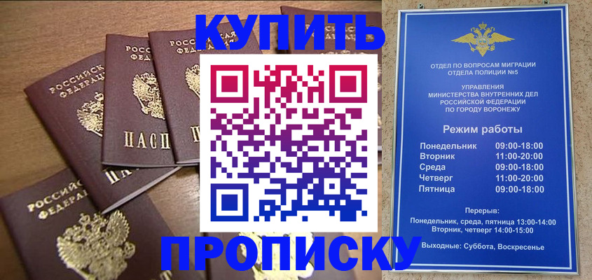 прописка 2025 в Барнауле